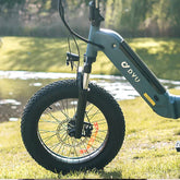 Customer photo of DYU FF500 20 Inch Fat Tire Electric Bike